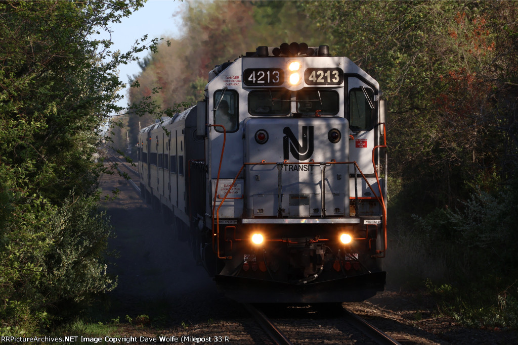 NJT 4213